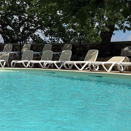 Casale Calabria Bed and Breakfast Gizzeria Εξωτερικό φωτογραφία